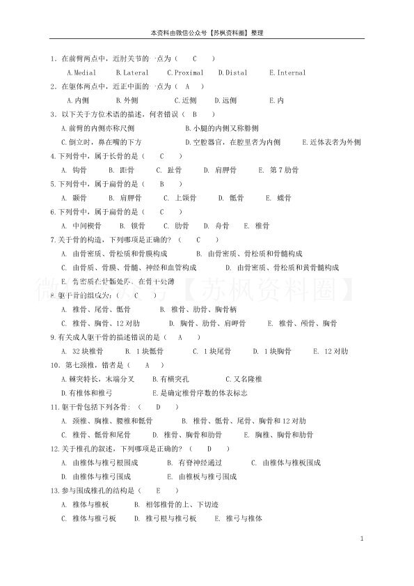功能解剖学